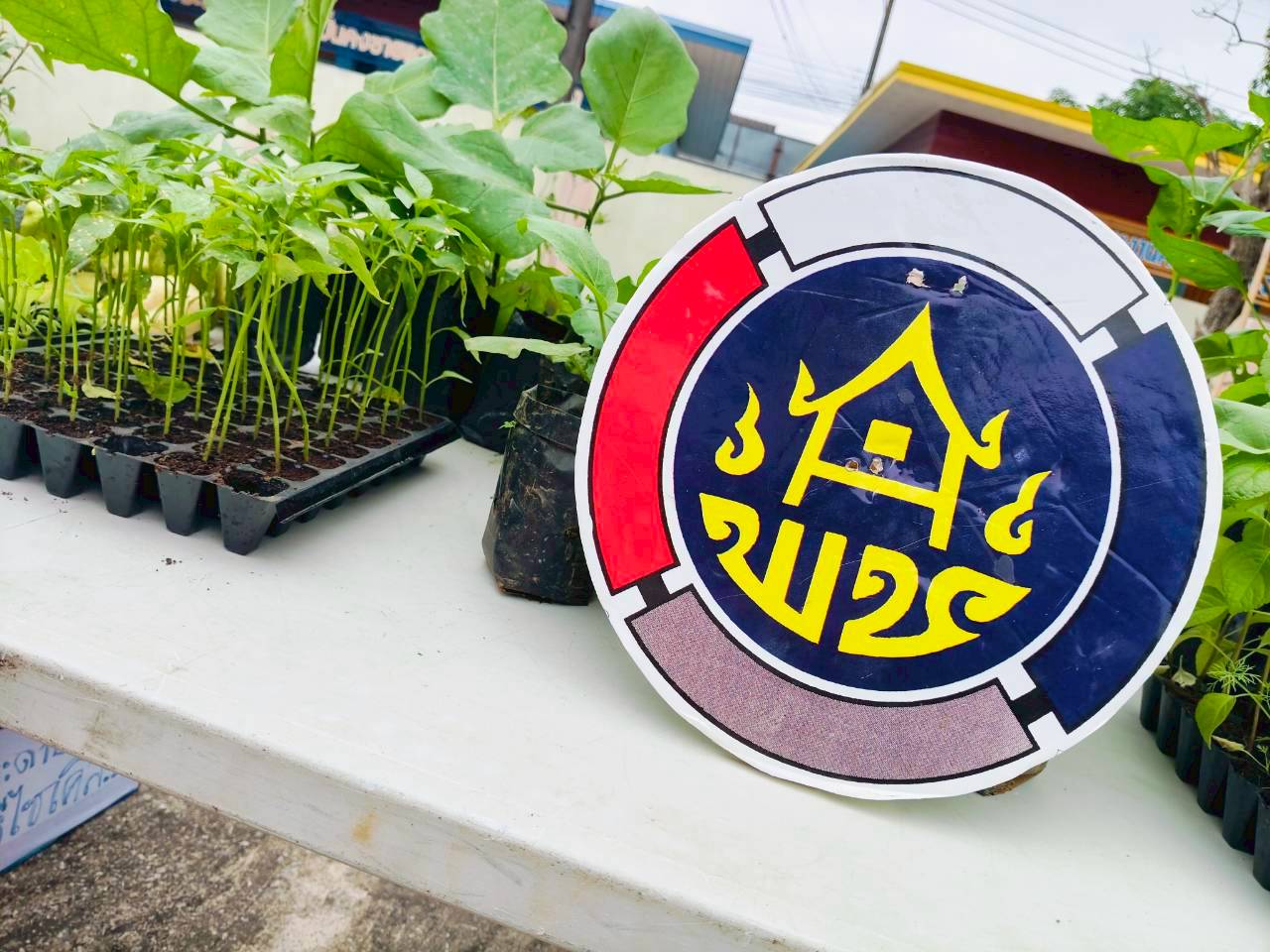 🥬นายอำเภอเชียงของ เปิดบ้านพักนายอำเภอ” ปลูกผักสวนครัวเพื่อสร้างความมั่นคงทางอาหาร🥬